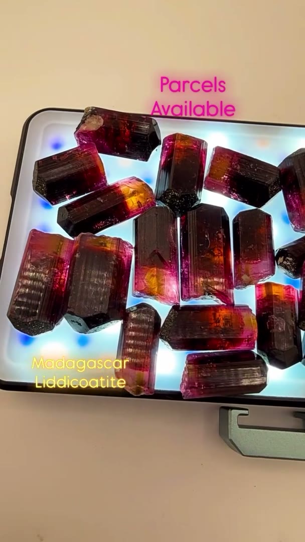 Madagascar Liddicoatite Magic
