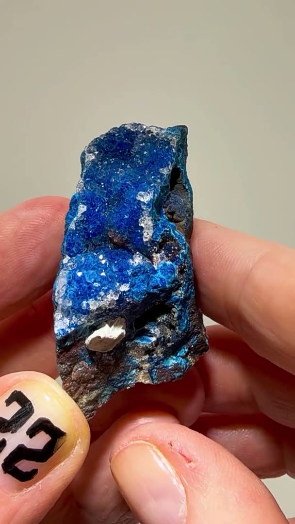 COBALT BLUE INSANITY