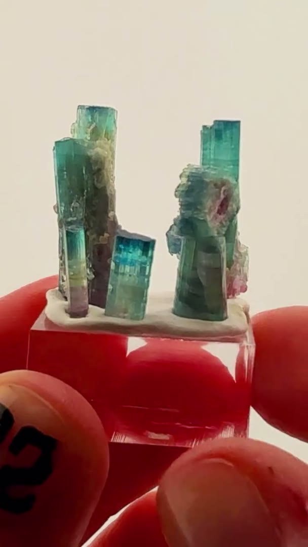 1998 SAPO MINE MAGIC — MINAS GERAIS, BRAZIL
