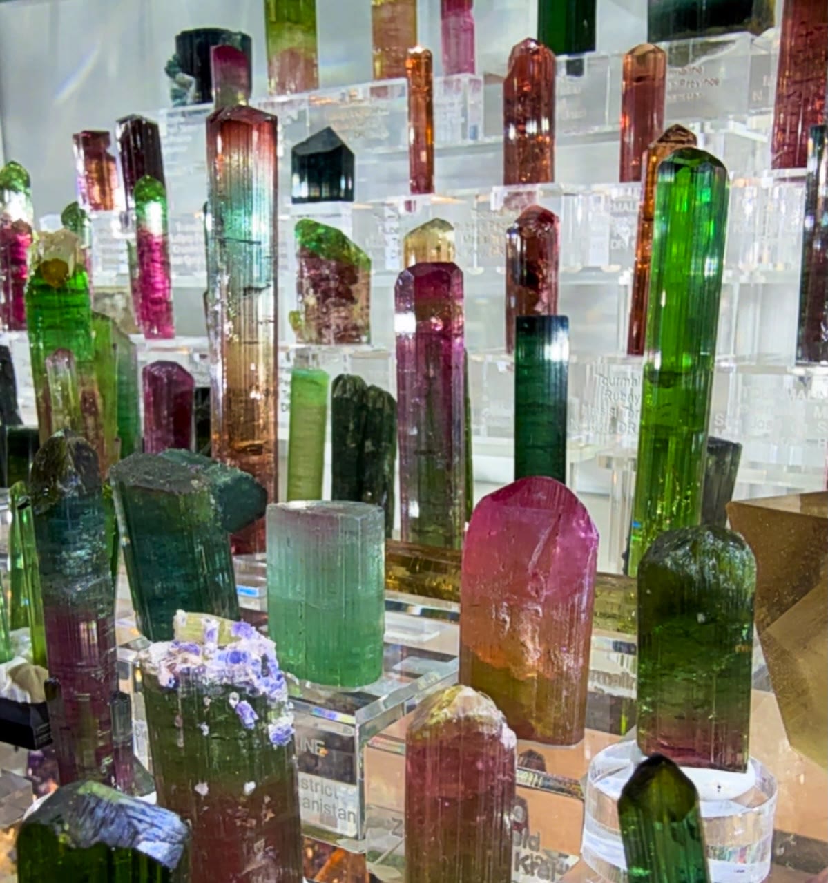 GLOBAL TOURMALINE LINEUP