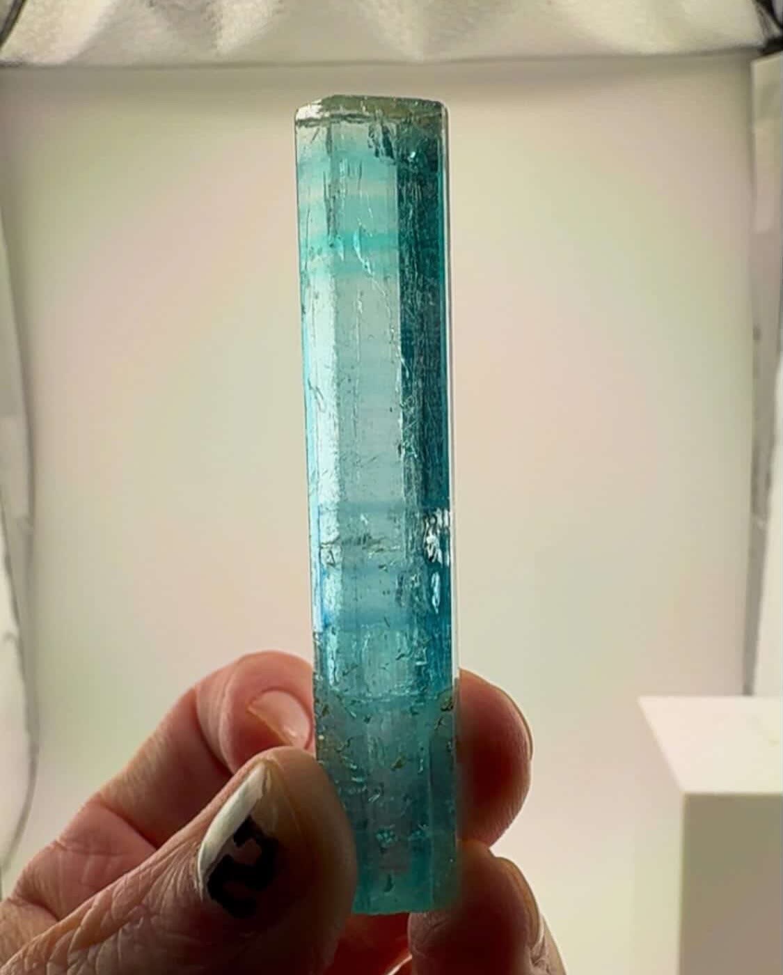 NIGERIAN EMERALD ENERGY