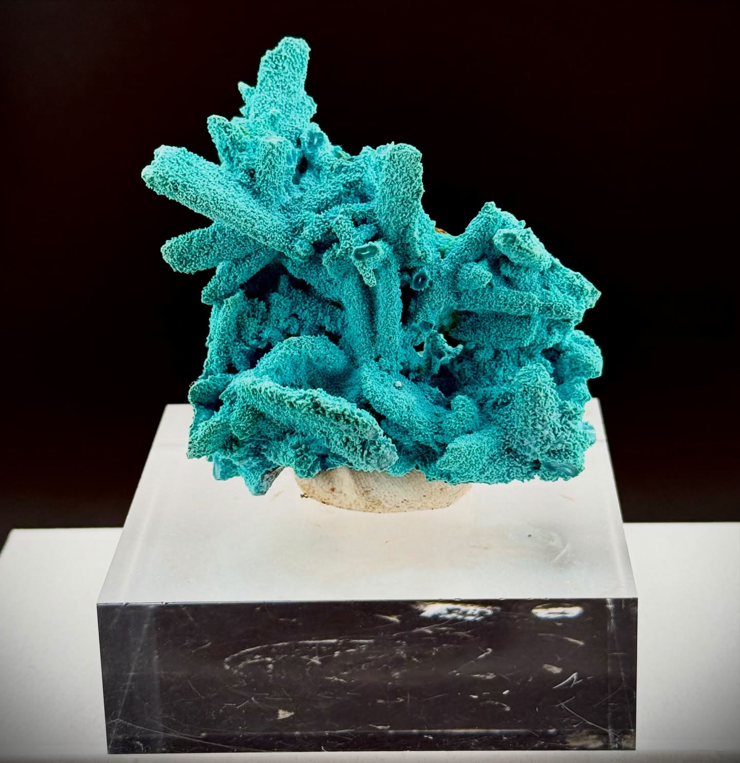 Electric Congo color on full display
