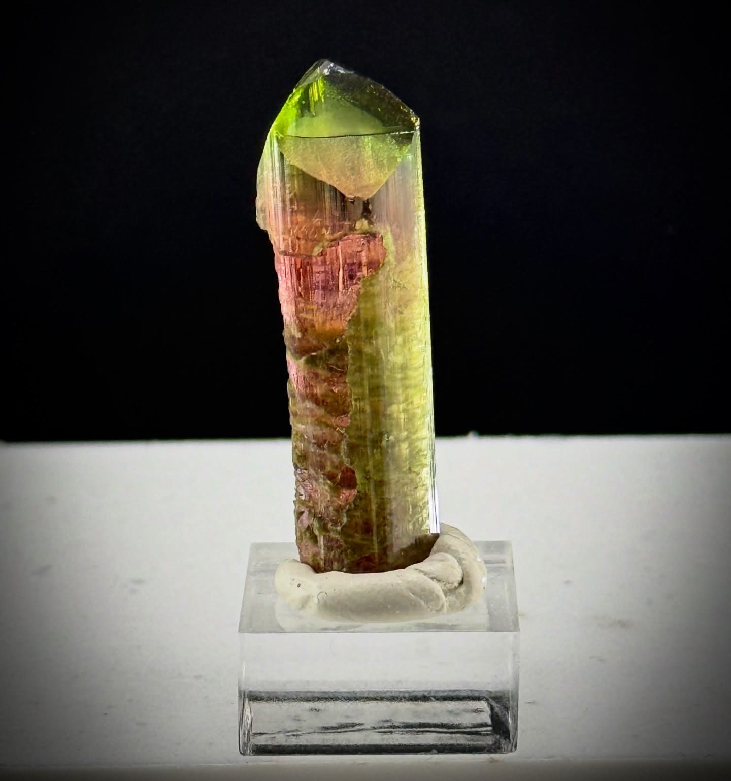 Aricanga magic in full scepter form