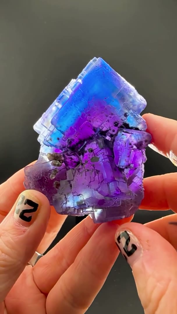 Illinois blurple at its absolute peak