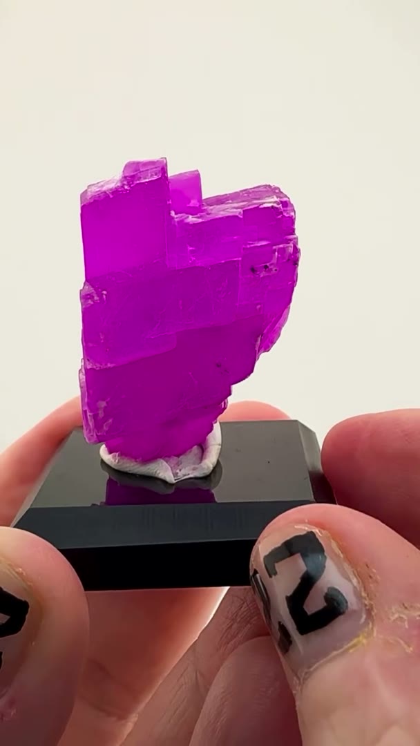 Electric pink perfection straight out of the Congo