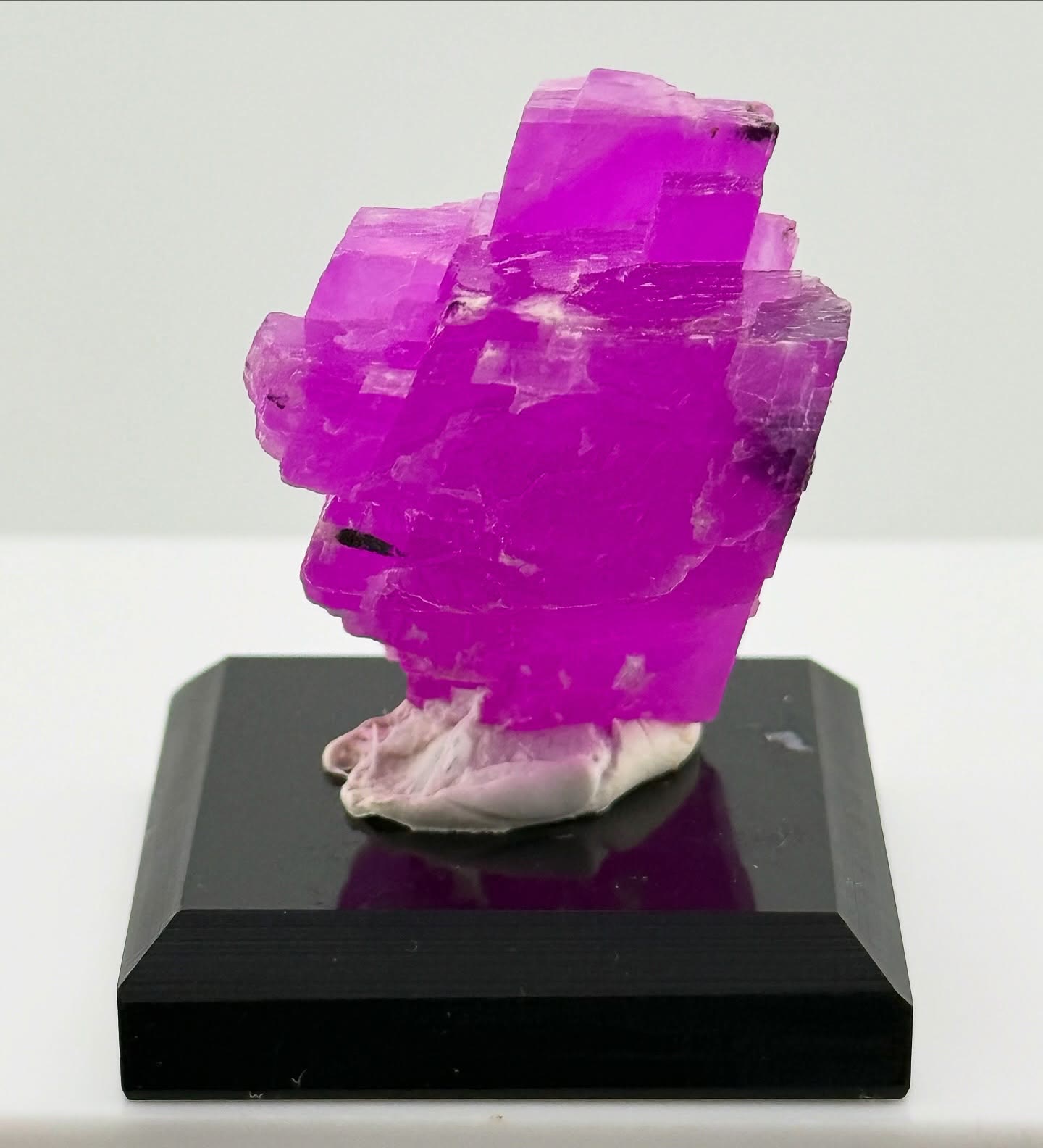 Electric pink locked in still form