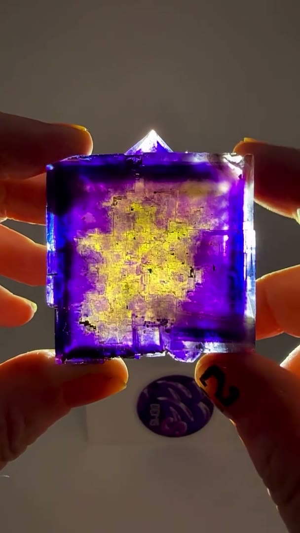 BACKLIT MINERVA MAGIC