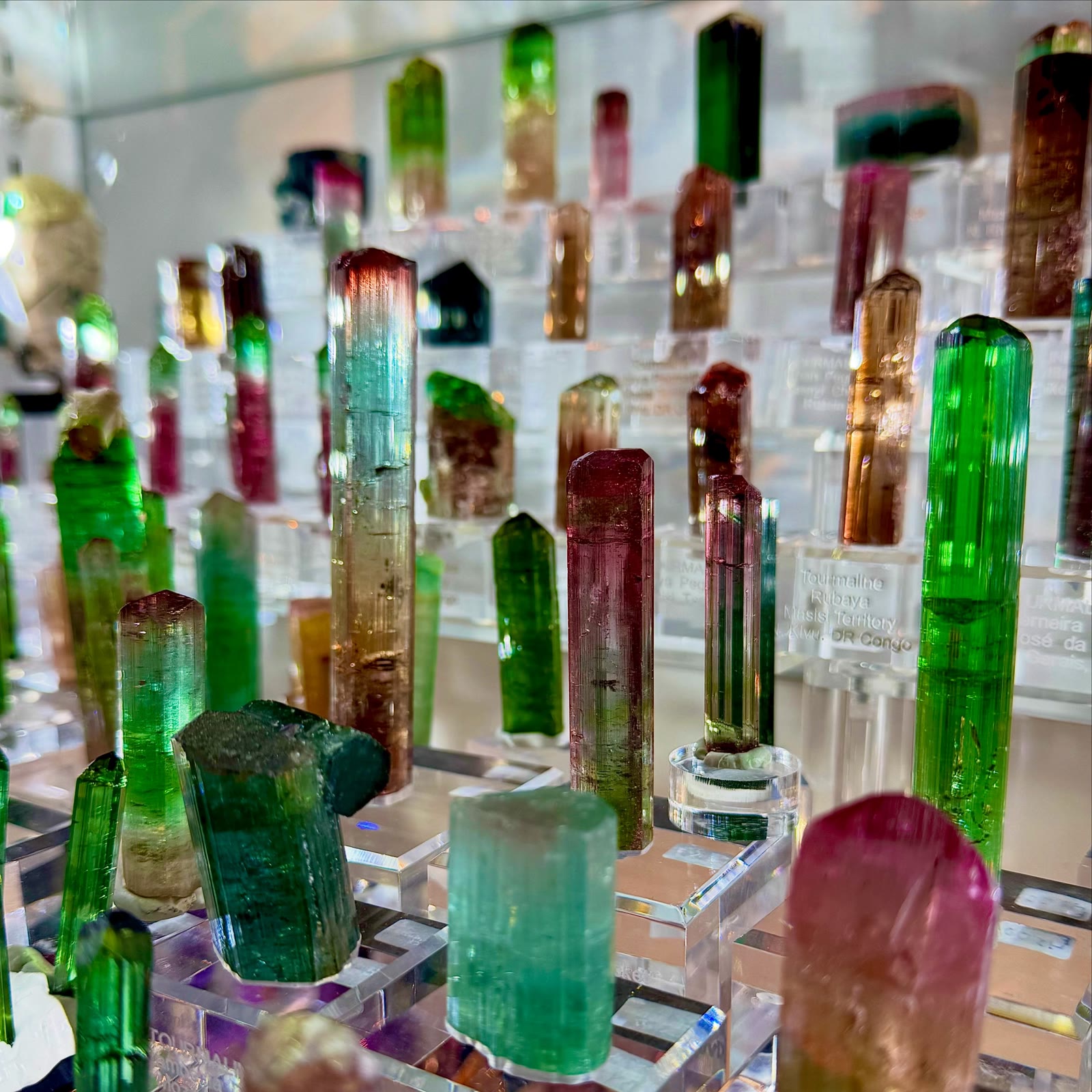 A small glimpse into the tourmaline world I’ve spent years chasing