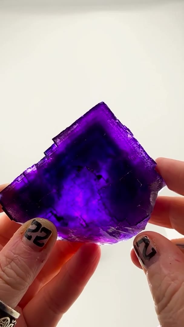 DENTON PURPLE PHANTOM MAGIC