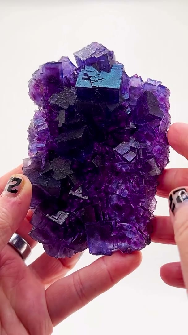 Cave-In-Rock blurple perfection