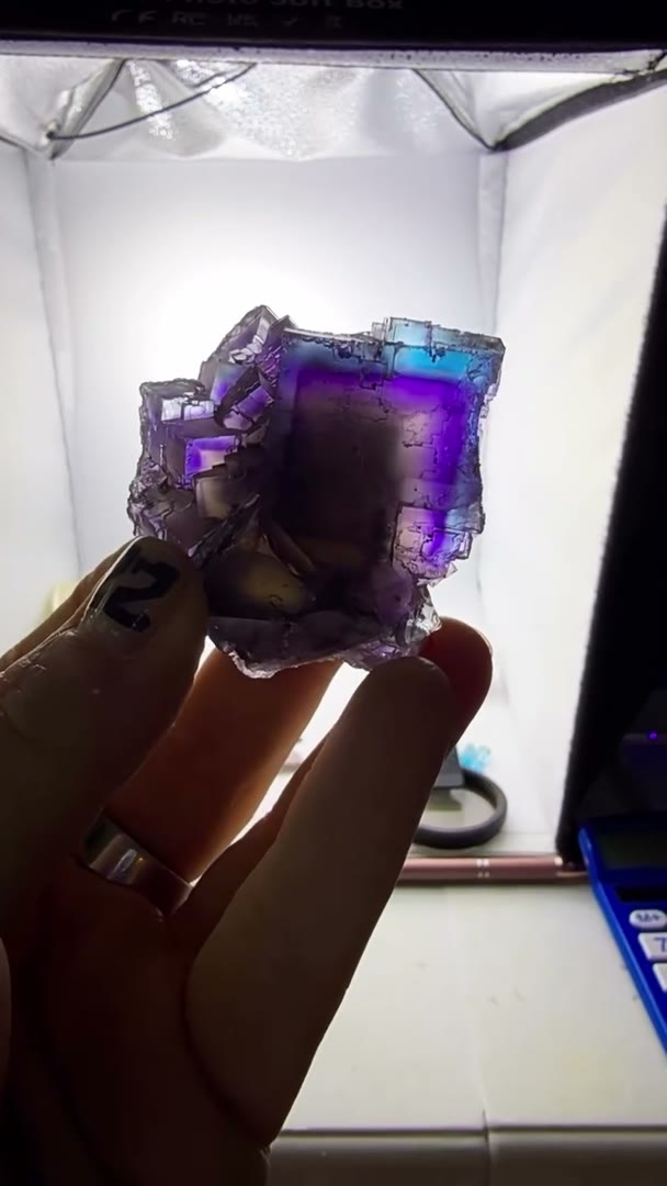Electric blurple perfection