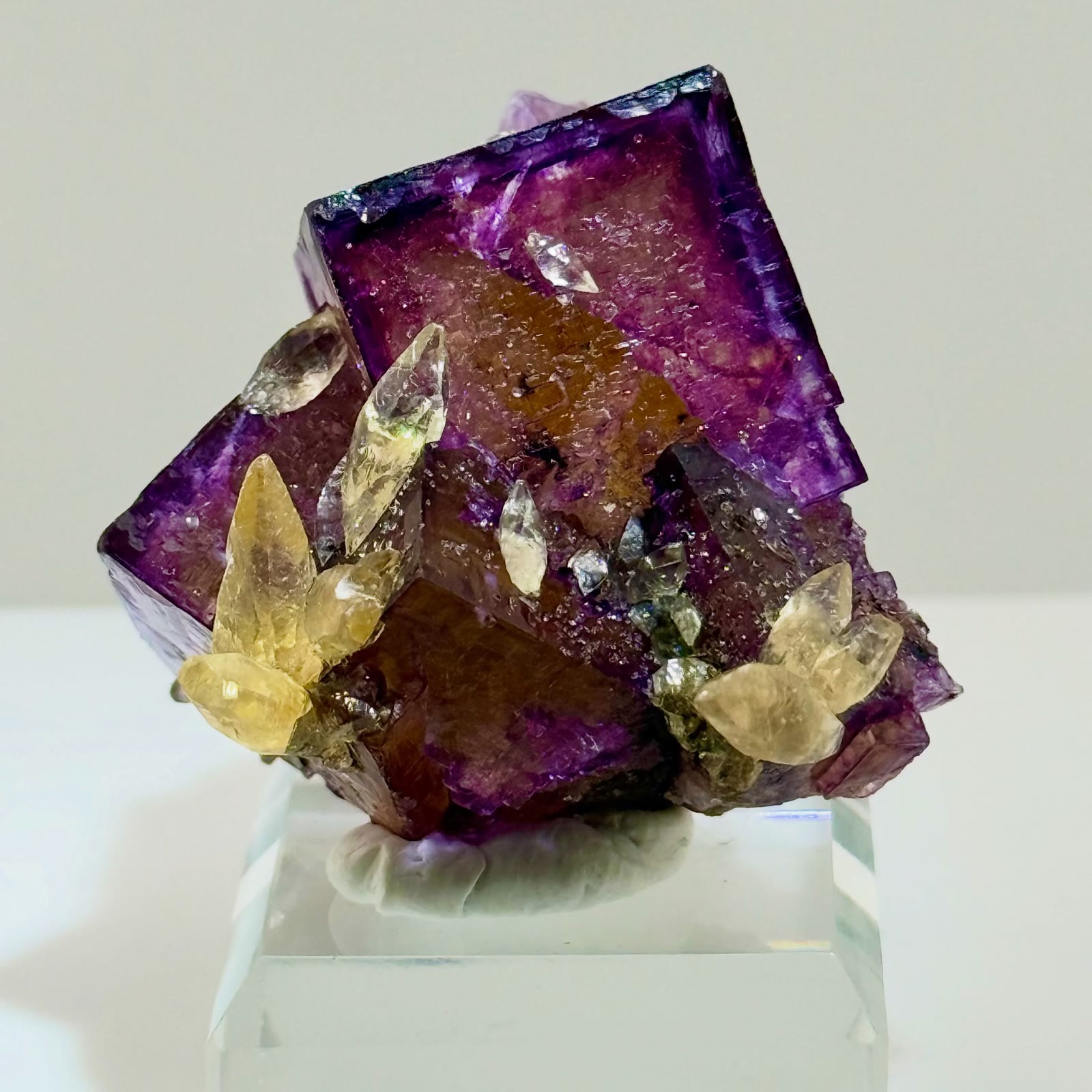 Aesthetics on fleak… Rosiclare-level beauty in a compact masterpiece
