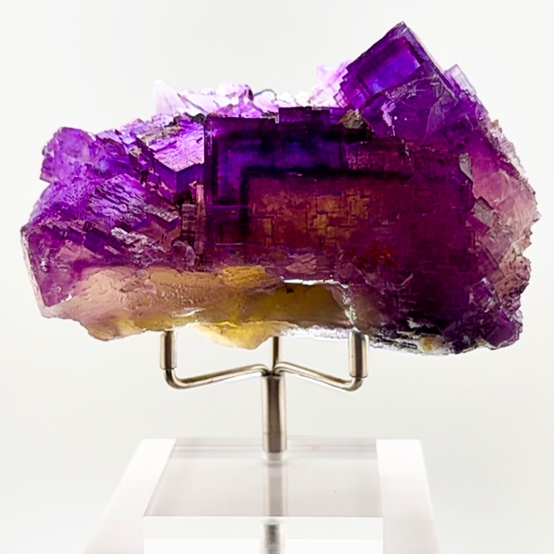 That rich saturated purple is impossible to ignore