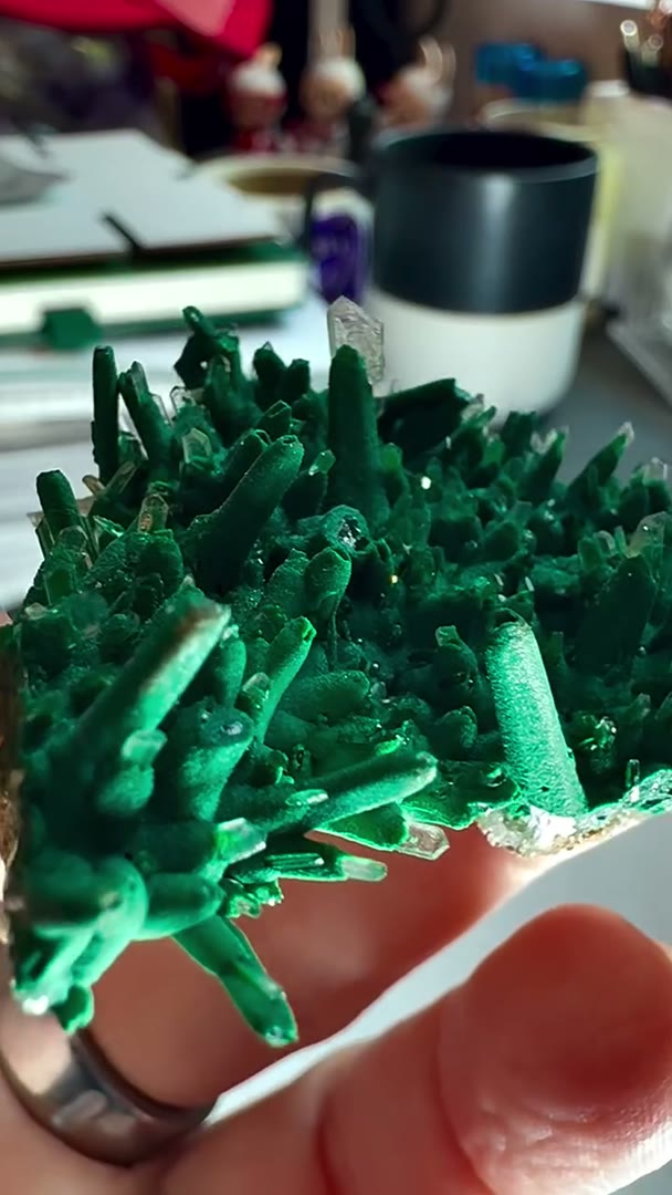 Electric green eye candy straight from the legendary Scalpel Pocket